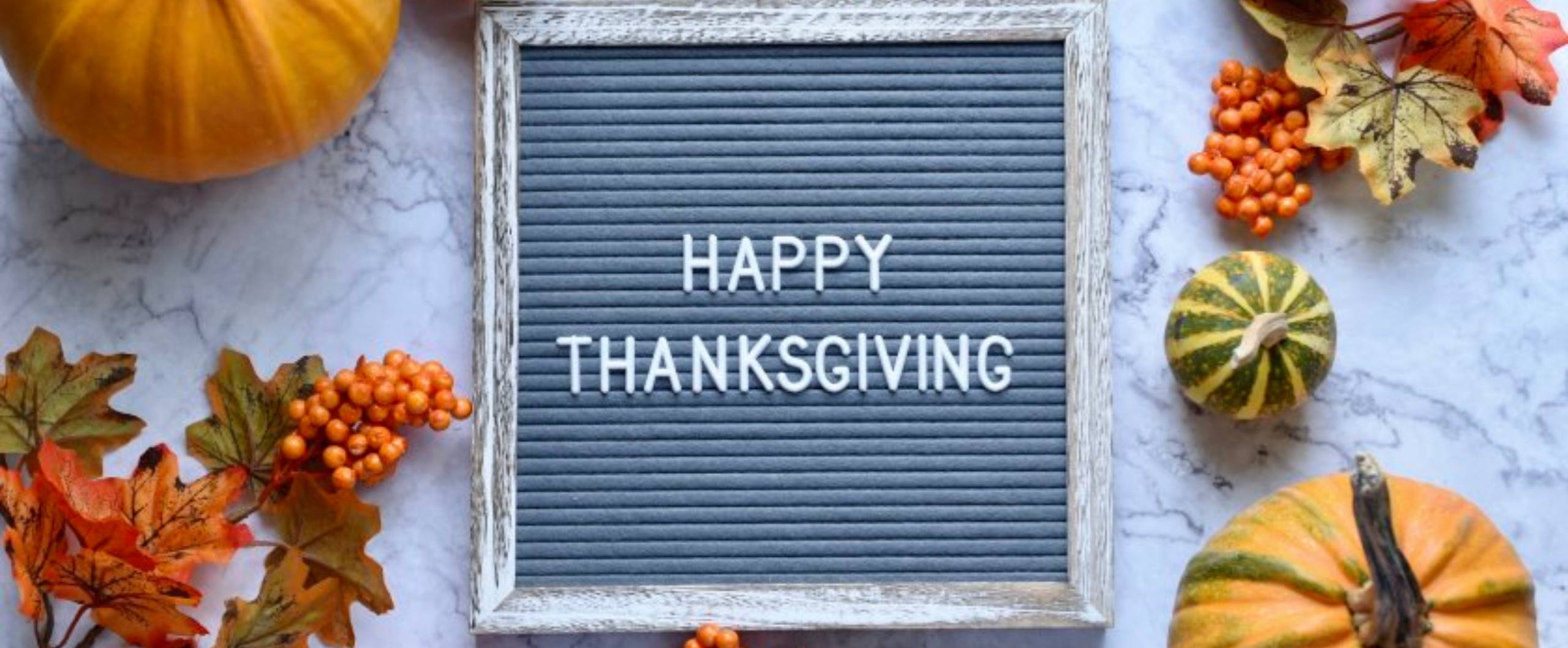 Happy Thanksgiving!