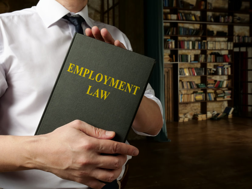 Employment Law Attorney