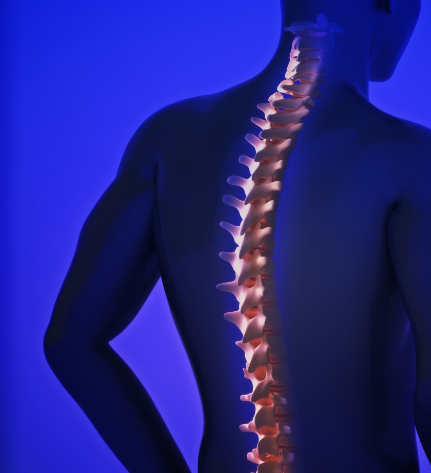 Semi-truck Drivers and Back Injuries