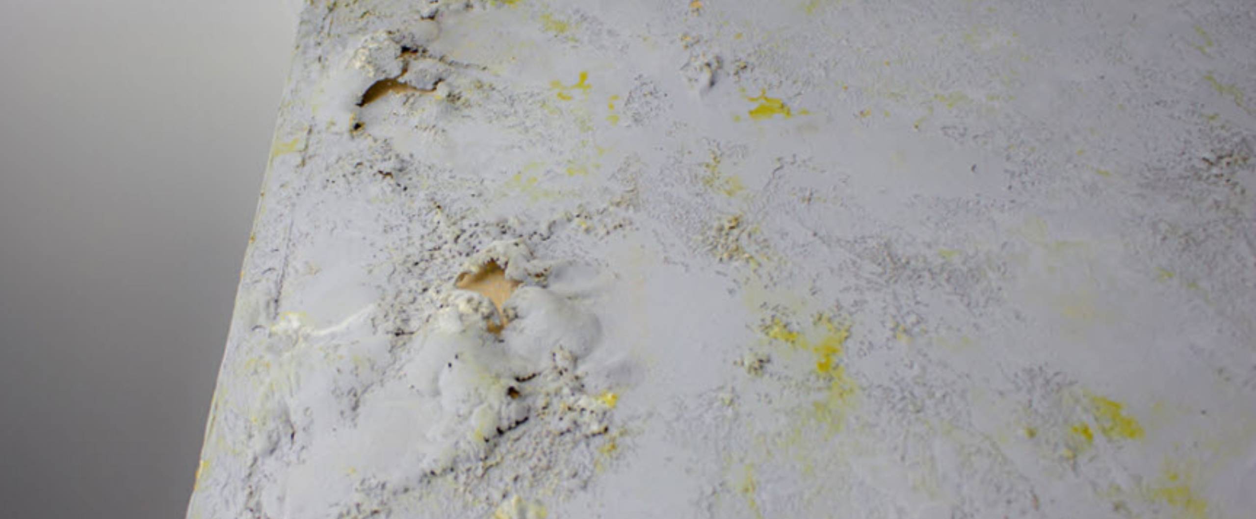 sick-from-mold-omaha-apartment