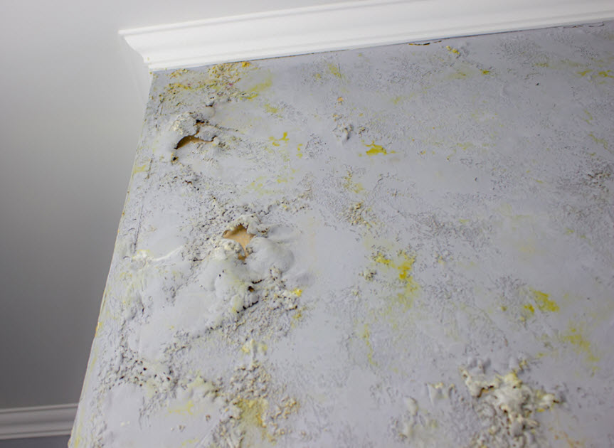 Sick from Mold - Omaha Apartment