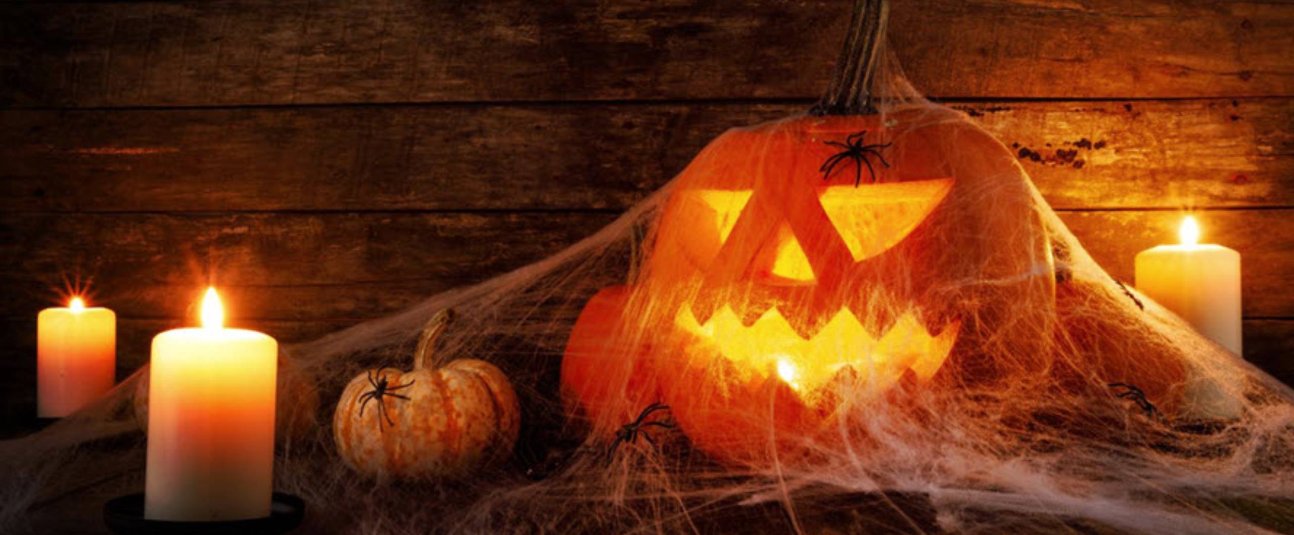 Happy Halloween 2024!!