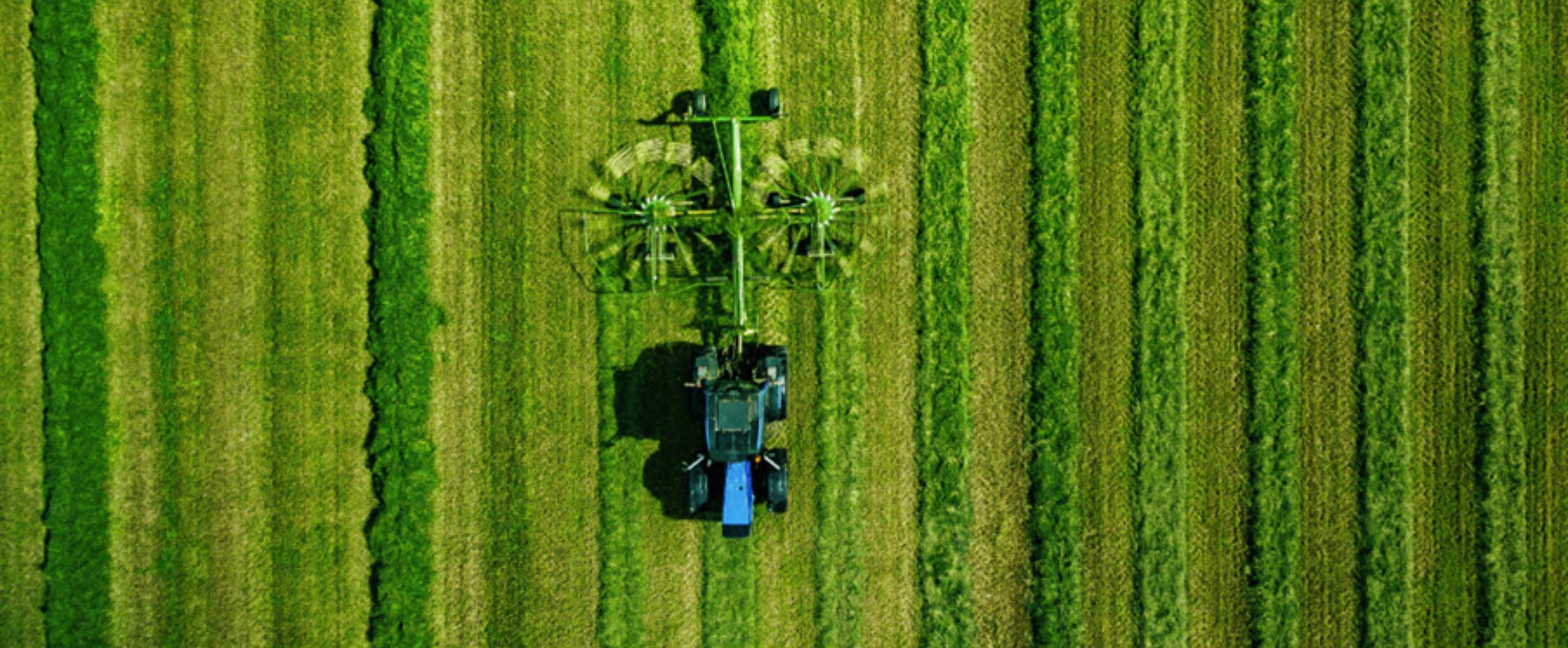 Farm Accident Claims