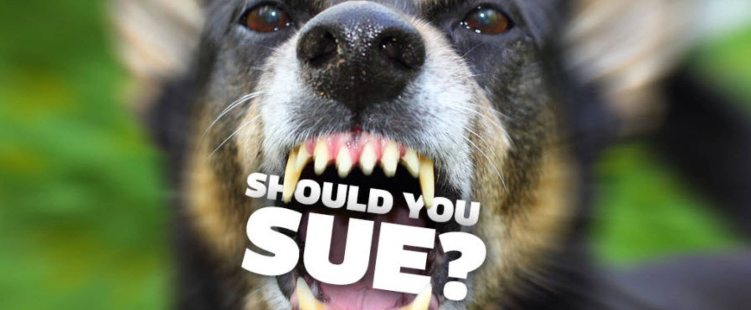 Personal Injury Attorney Near Me